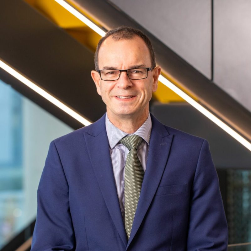Professor David Knowles