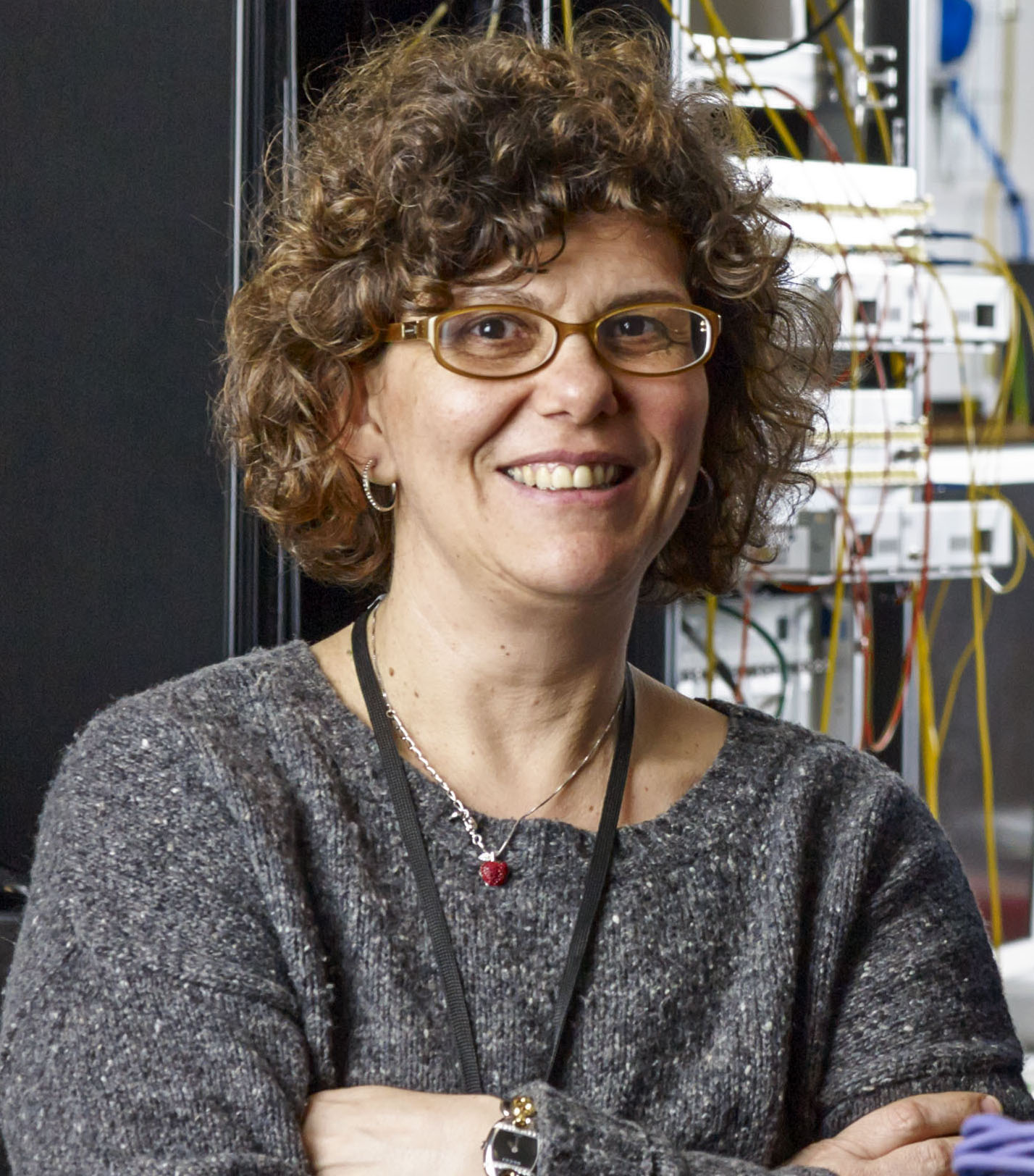 Professor Dimitra Simeonidou